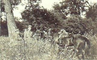 Hertfordshire Archives & Local Studies