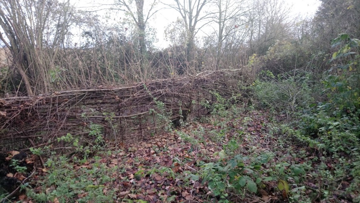 Hertfordshire’s Emerging Writers 2024 Nic Wilson from Hitchin