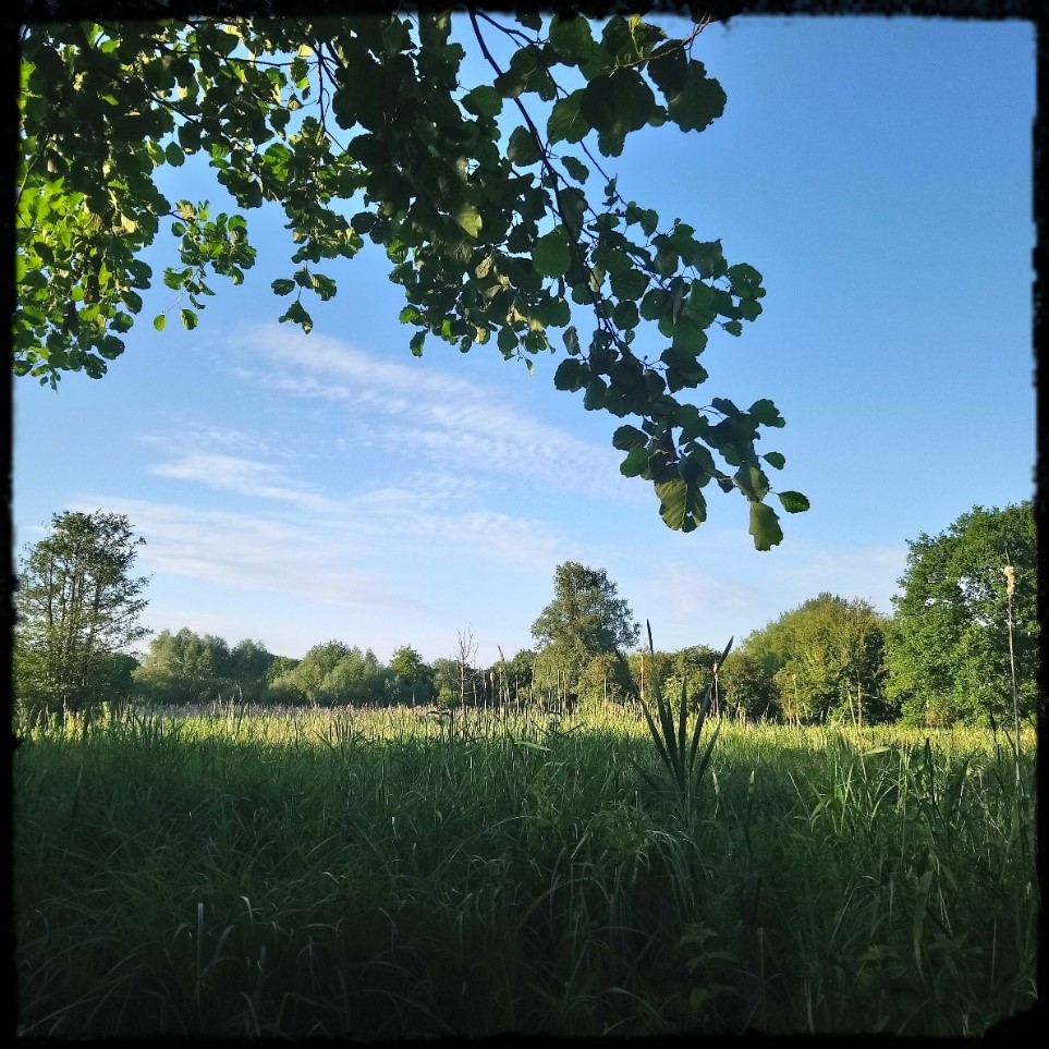 Hertfordshire’s Emerging Writers 2024 Nic Wilson from Hitchin