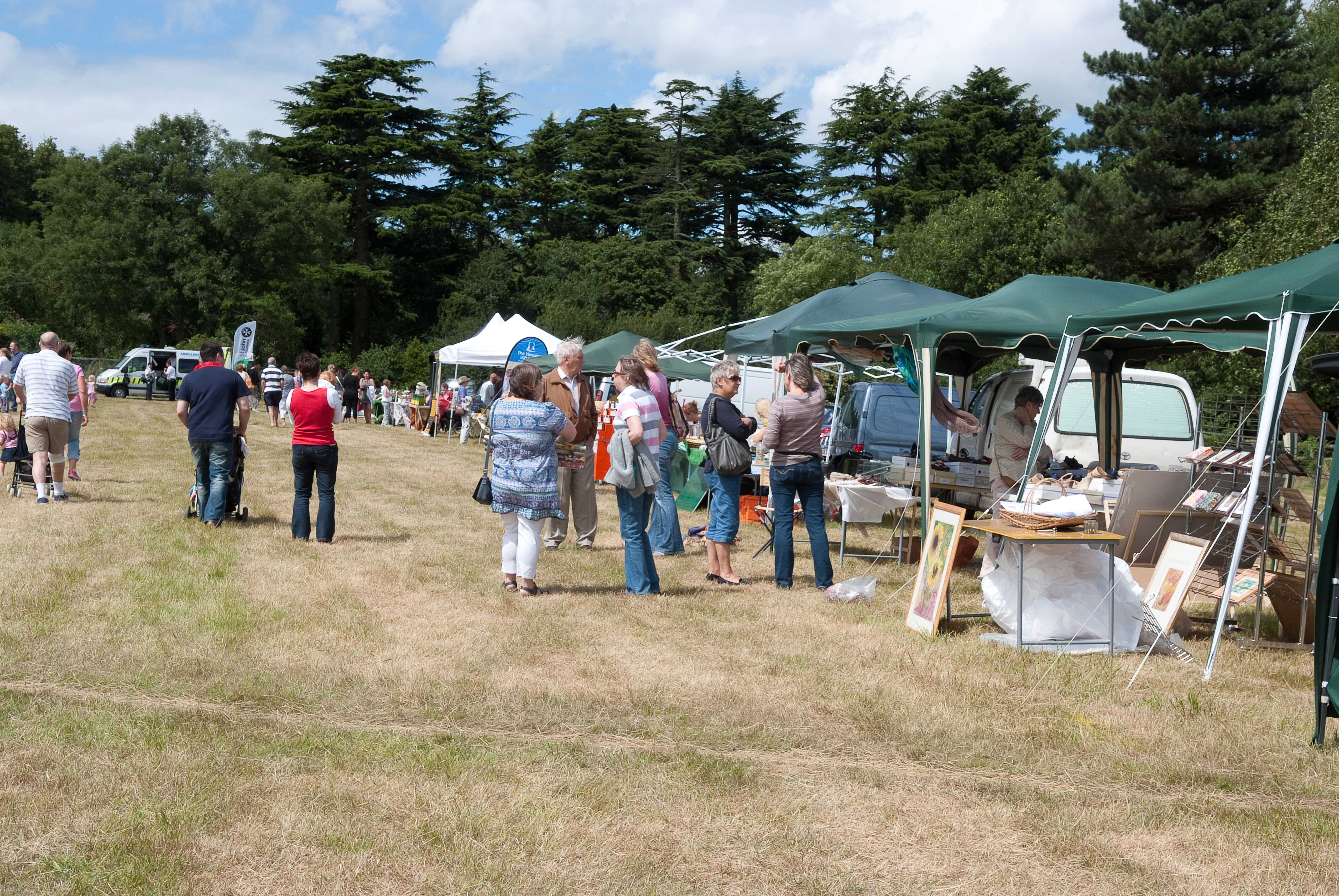 Wigginton Festival 2009 Wigginton Herts Memories