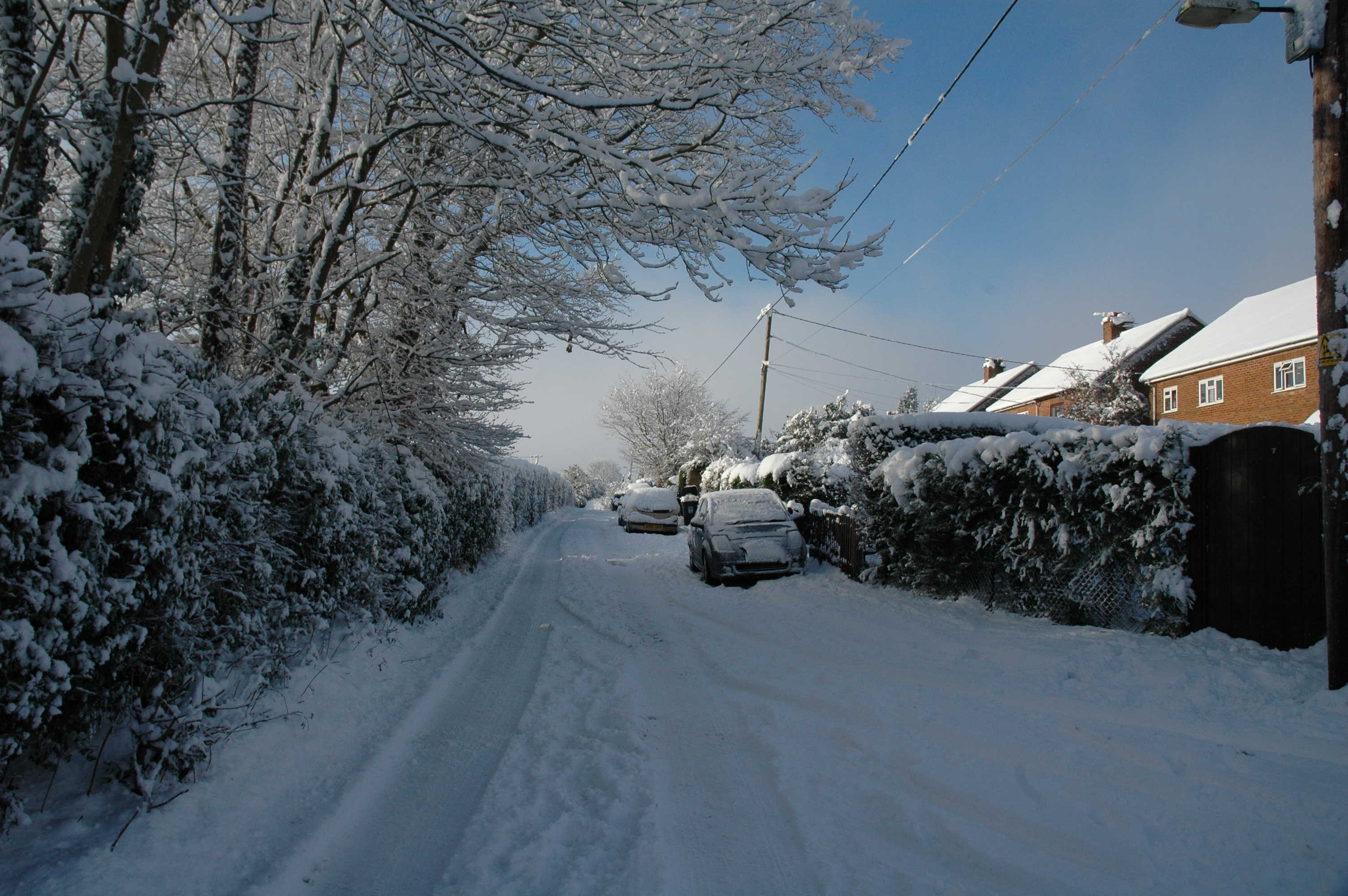 Snowy Winter 2009 to 2010 Natural World, Wigginton Herts Memories