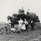 Agricultural Workers, Tring