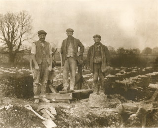 Workers at Rothamsted