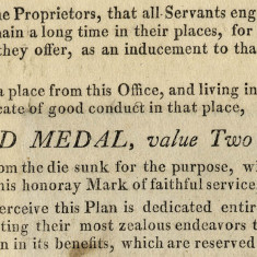 Servants employed through the 