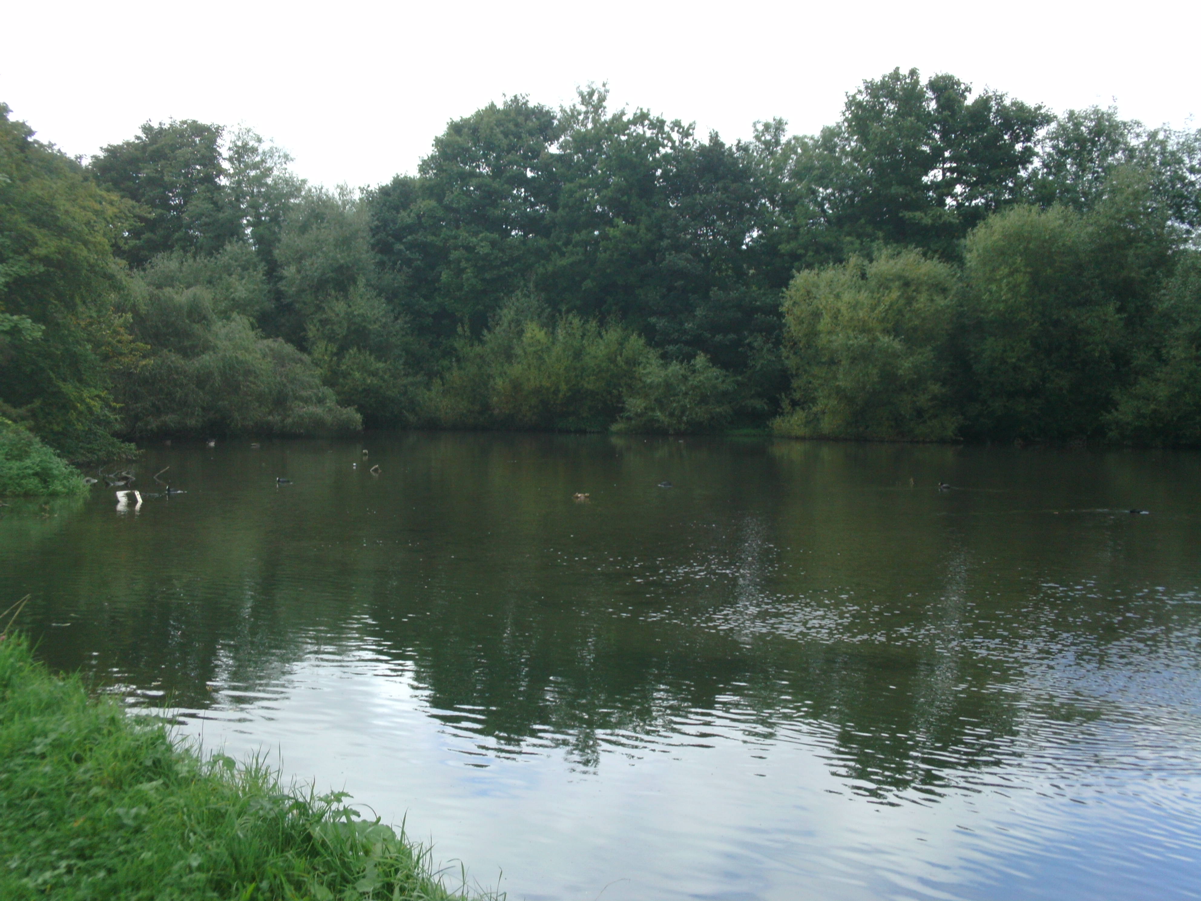 6. Theobalds to the Borders of Enfield Walks along the New River